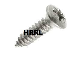 SS Raised Head Self Tapping Screws Exporter